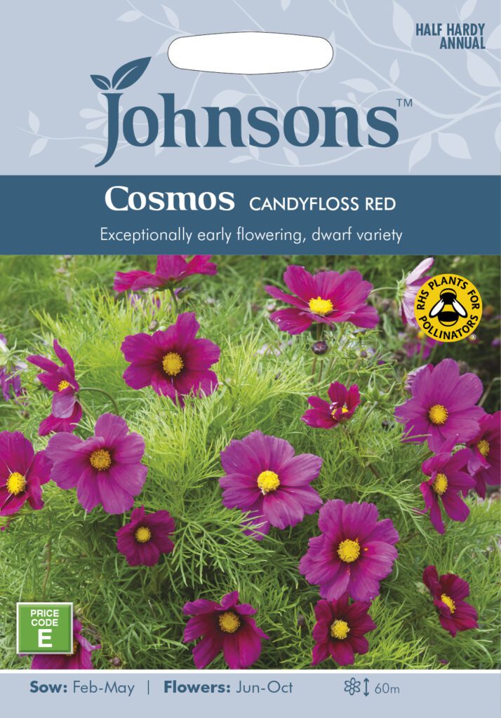 Johnsons Cosmos Candyfloss Red Seeds 5010931351596