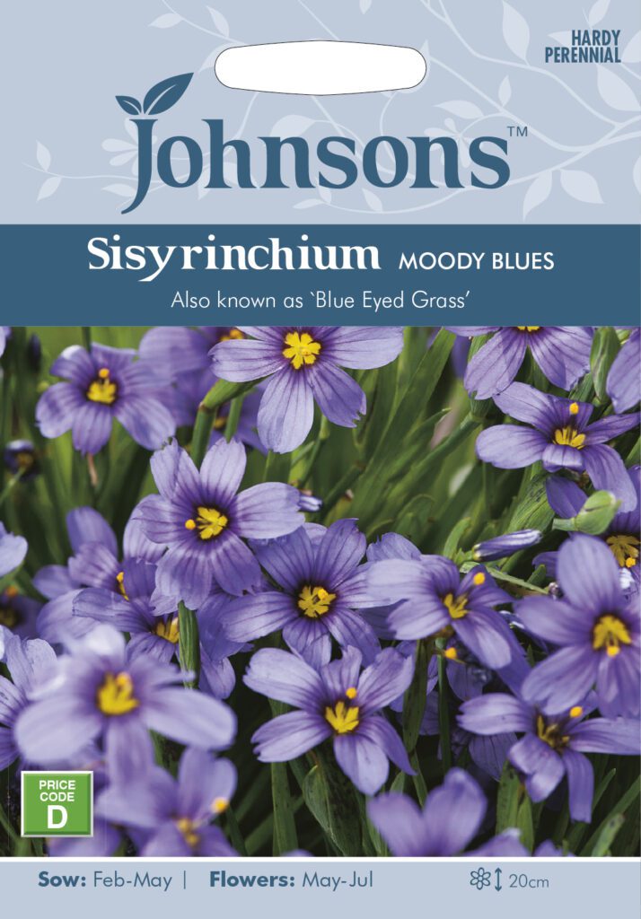 Johnsons Sisyrinchium Moody Blues Seeds 5010931351657