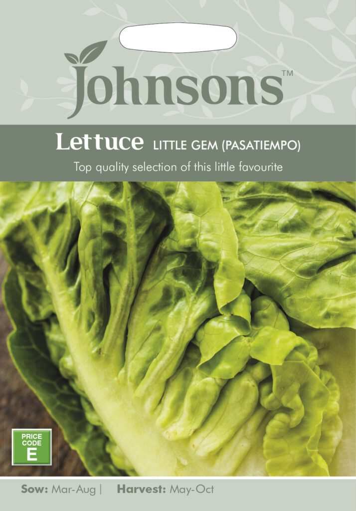 Johnsons Lettuce Little Gem (Pasatiempo) Seeds 5010931351732