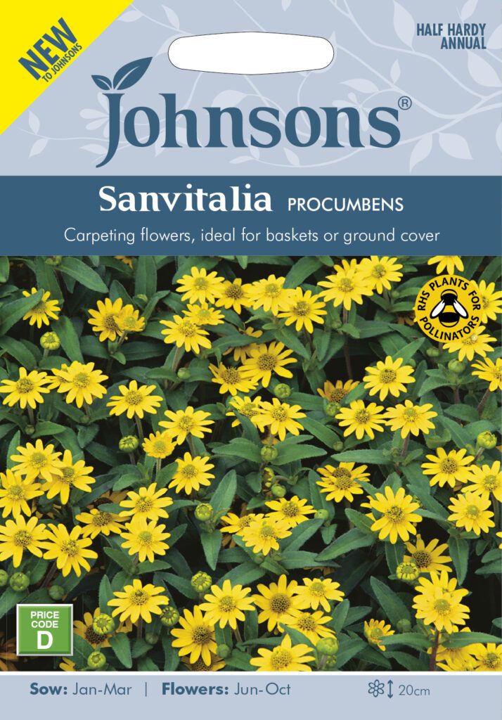 Johnsons Sanvitalia Procumbens Seeds 5010931381371