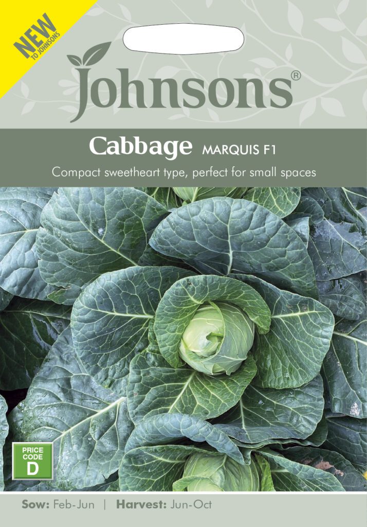 Johnsons Cabbage Marquess F1 Seeds 5010931381425