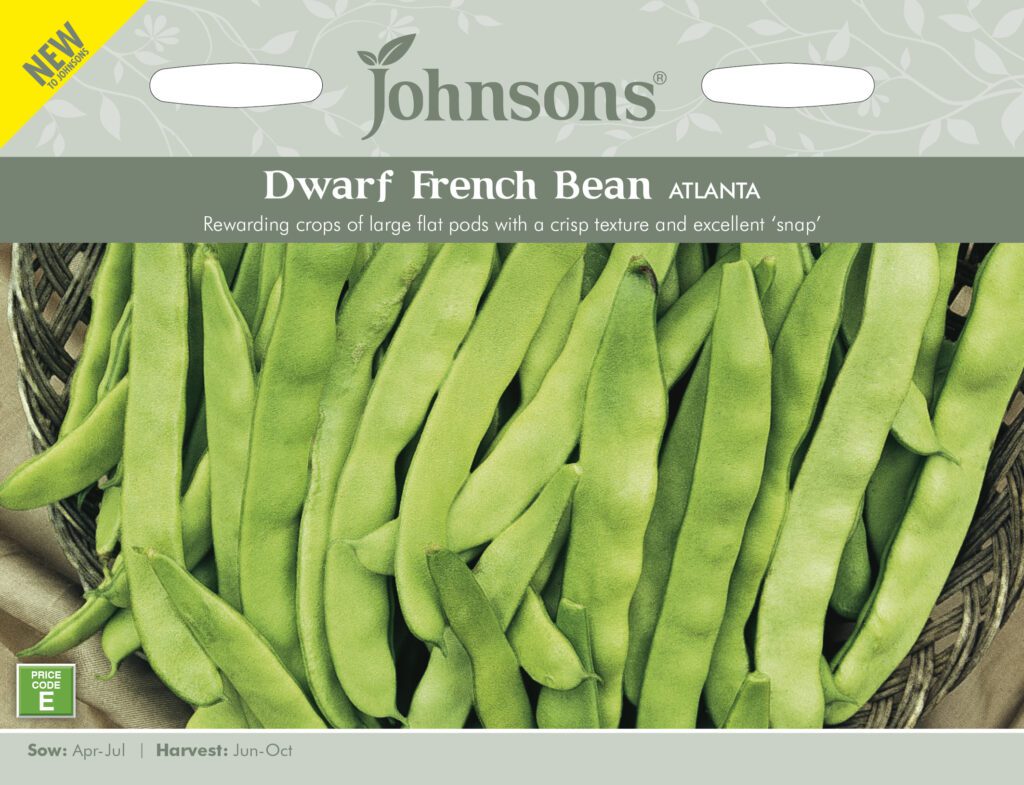 Johnsons Dwarf French Bean Atlanta Seeds 5010931386888