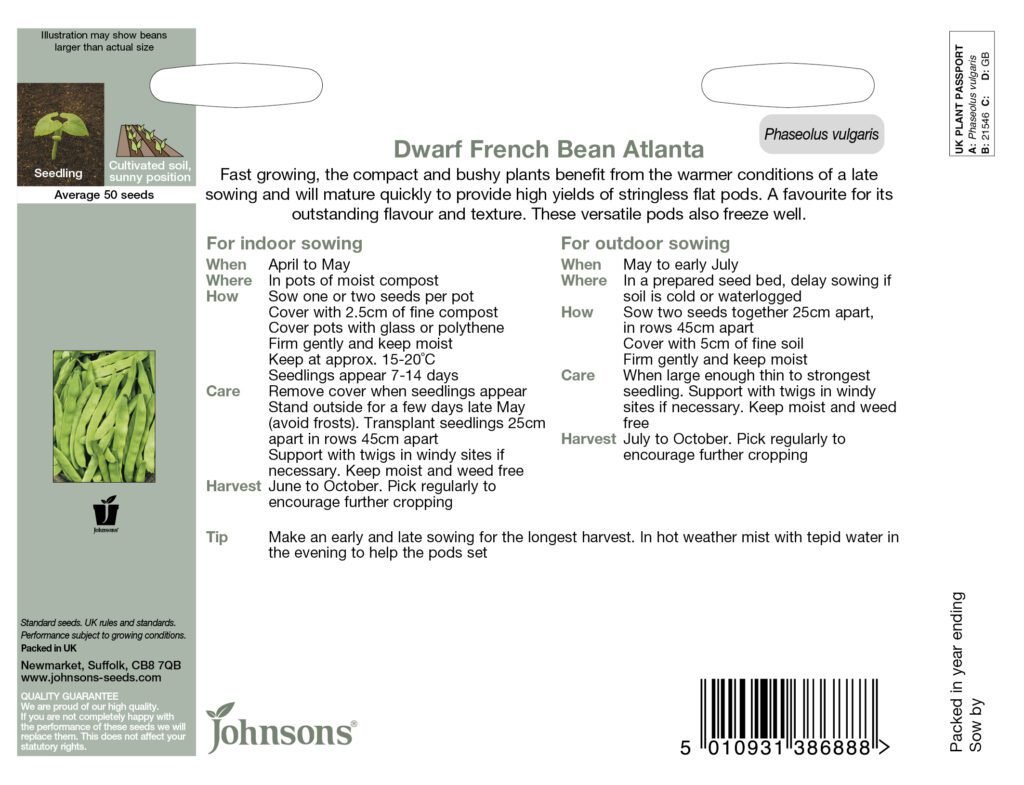 Johnsons Dwarf French Bean Atlanta Seeds 5010931386888