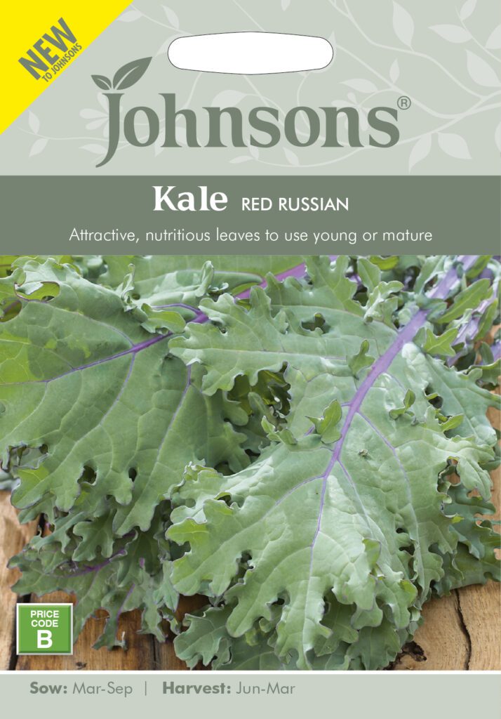 Johnsons Kale Red Russian Seeds 5010931386895