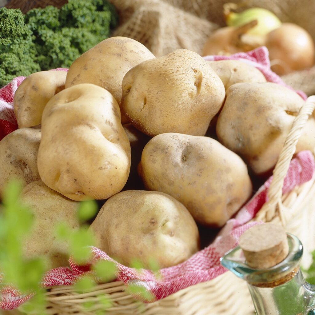 Pentland Javelin Seed Potatoes 5015882110674