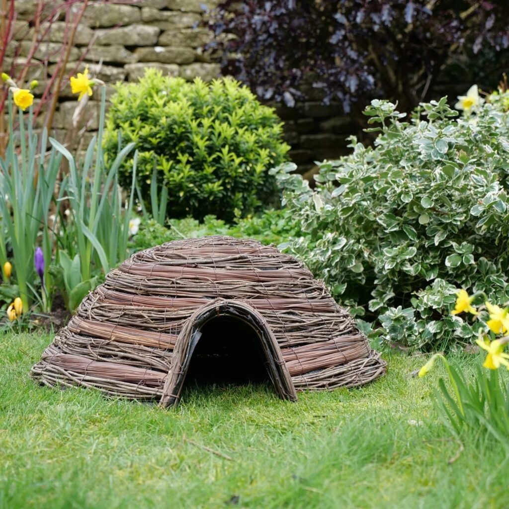 Wildlife World Dome Hedgehog House 679505022499