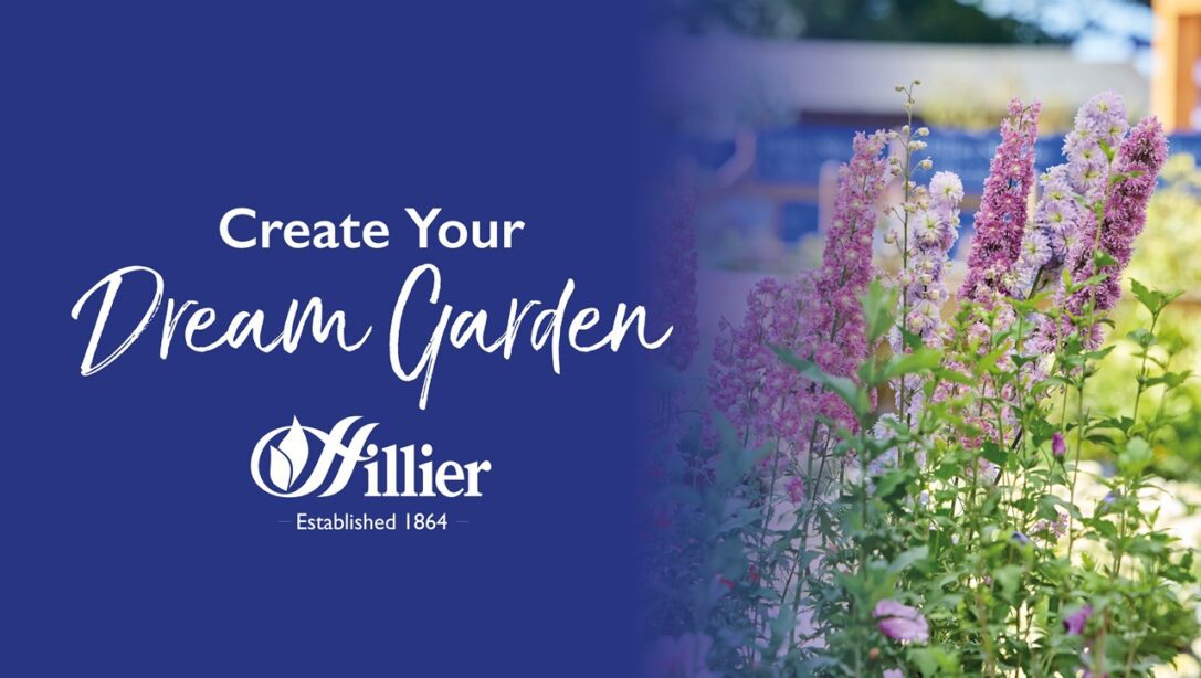 Article Header Dream Garden Hillier