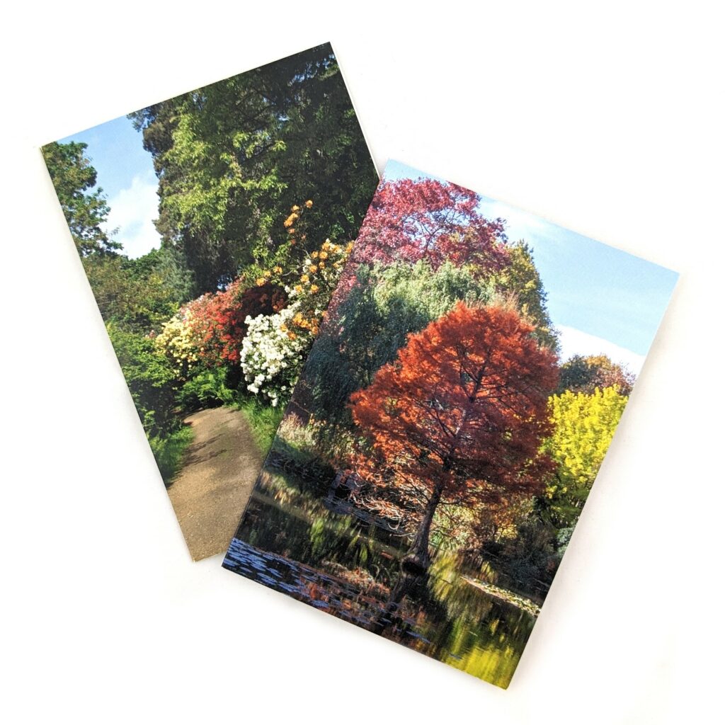 Sir Harold Hillier Gardens Path & Pond Greetings Cards – Pack of 12 5017680057182