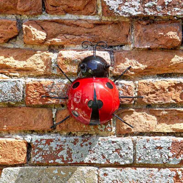 Hangers On Garden Wall Art Ladybird – Large 5050642019378