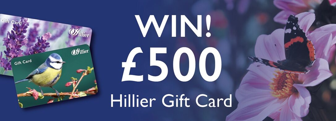 WIN! A £500 Hillier Gift Card