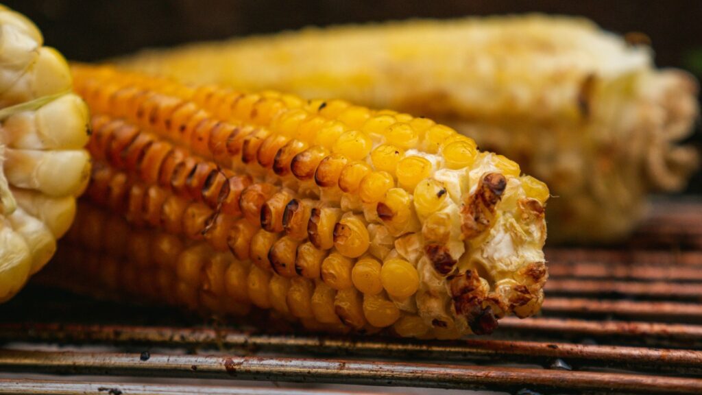 close up of grilled corn on the cob