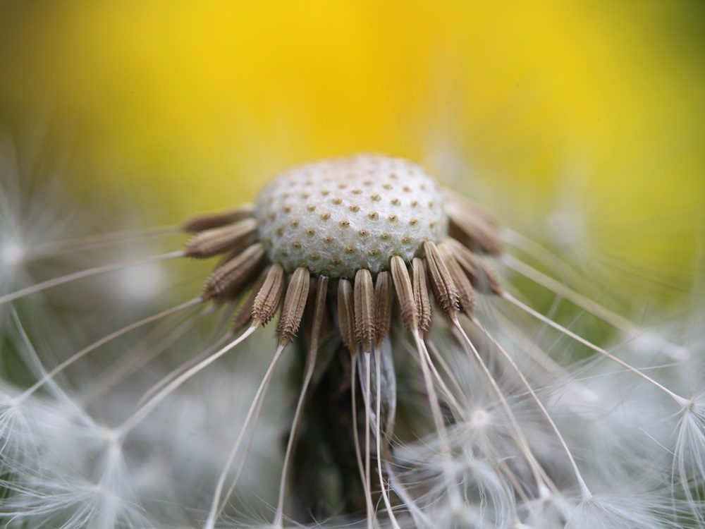 Weed Killer Category Image