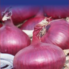 5015882108947 Onion Red Winter