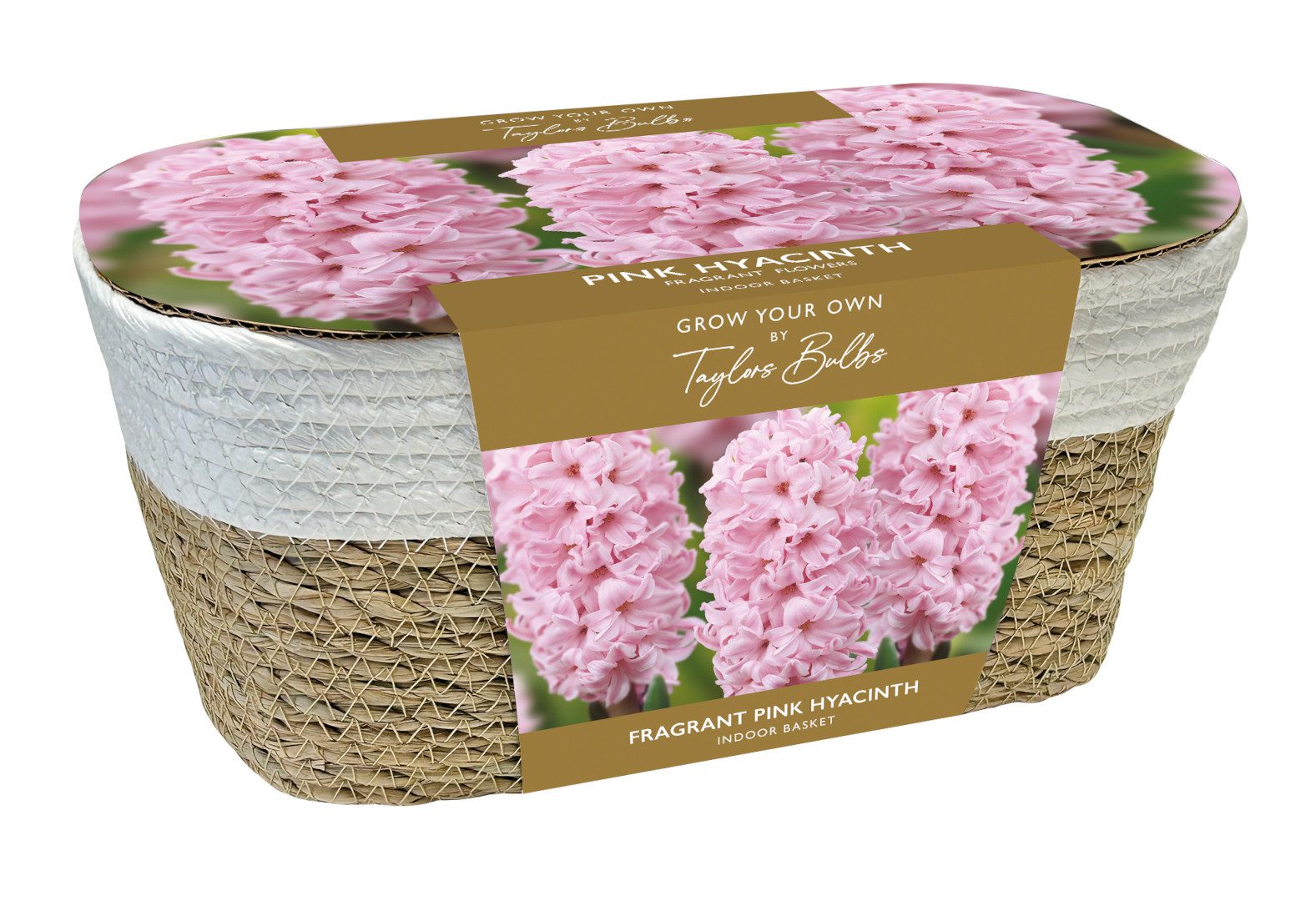 5015882229130 Large Hyacinth Basket Pink Bulbs Scaled