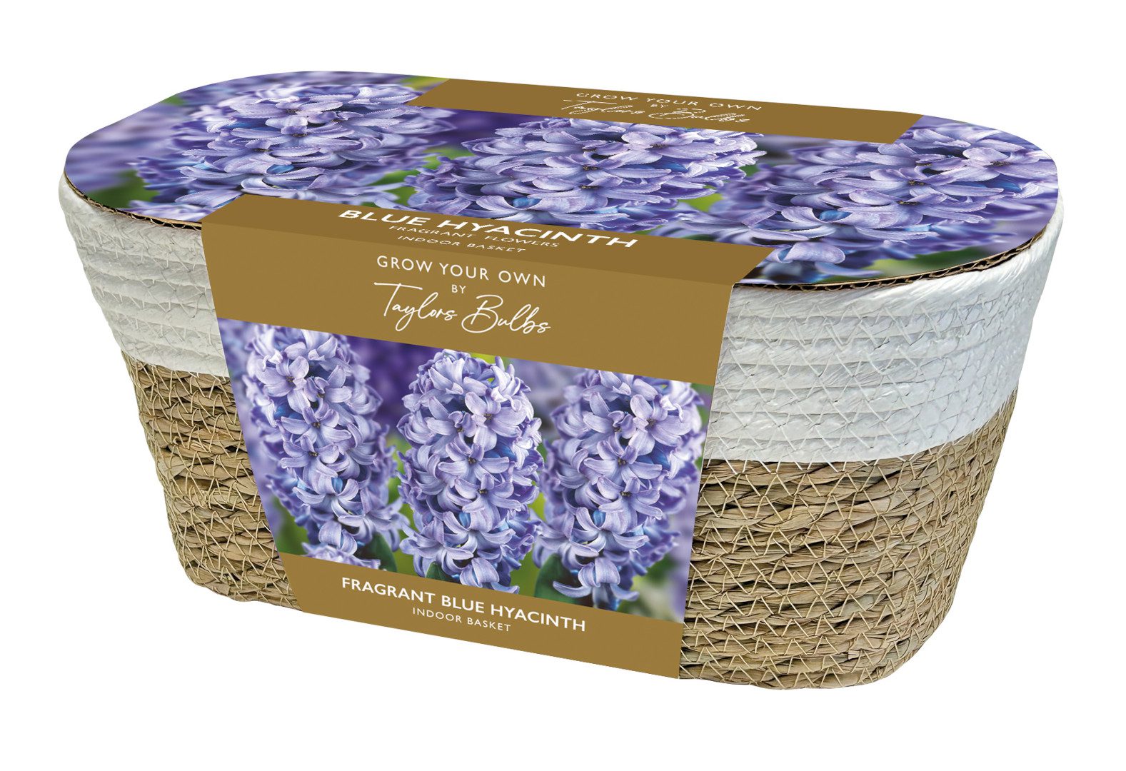 5015882229147 Large Hyacinth Basket Blue Bulbs Scaled