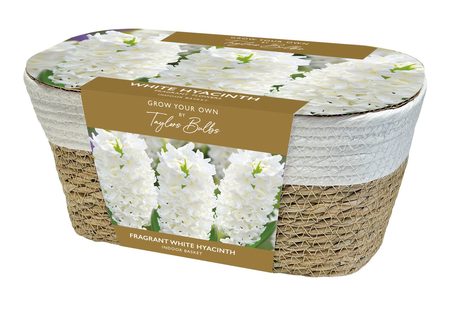 5015882229154 Large Hyacinth Basket White Bulbs Scaled