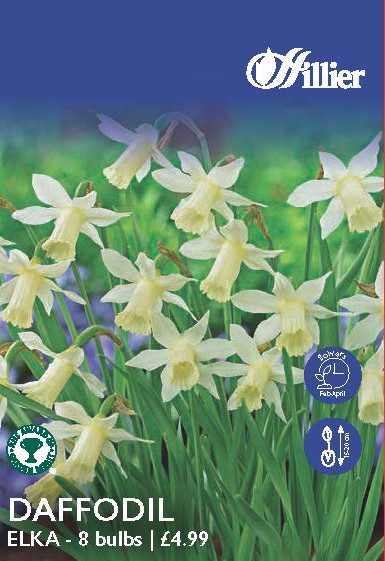 Daffodil Elka Bulbs 8718641997956