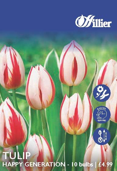 Tulip Happy Generation Bulbs 8718641997987