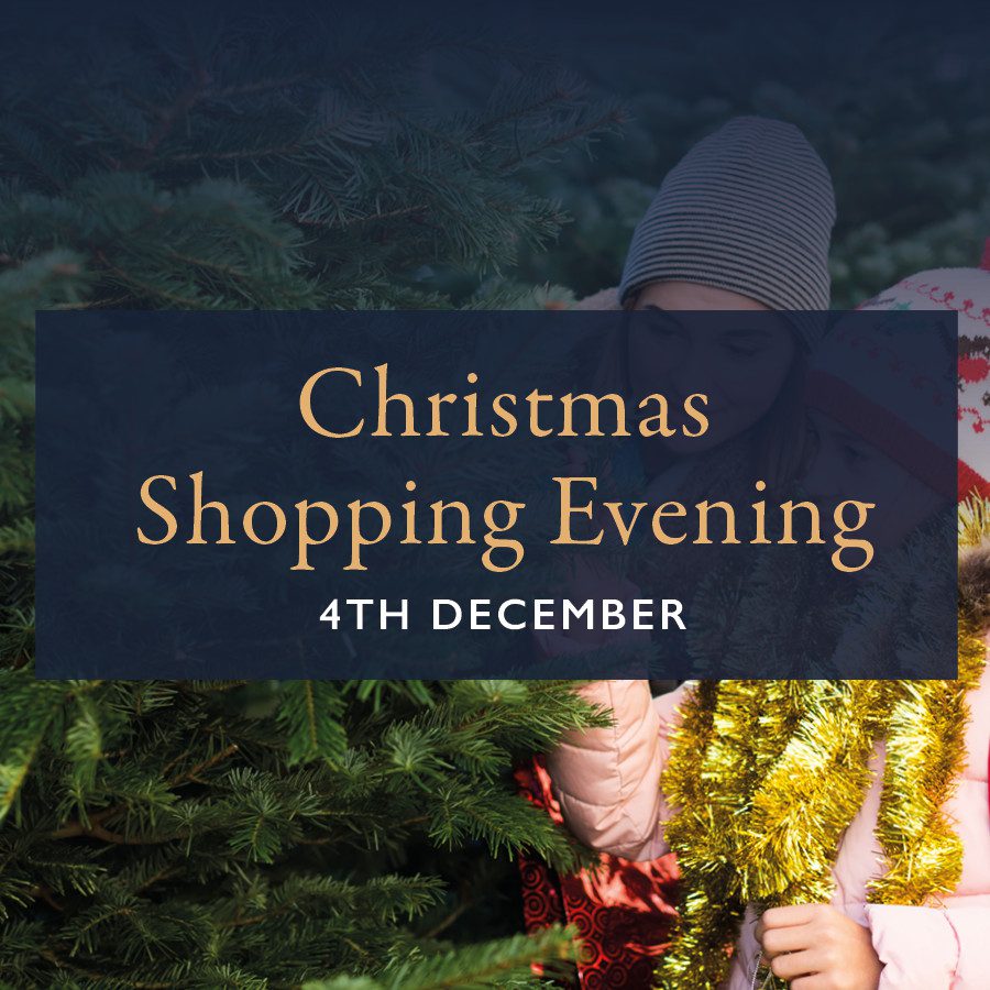 Christmas Shopping Evening Square 2024