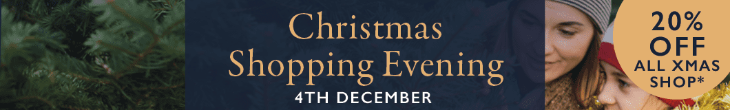 Promo Banner Christmas Shopping Evening 20% Off 2024