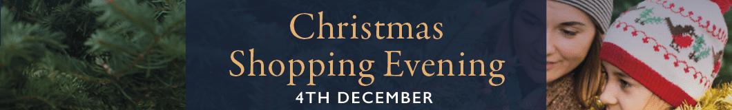 Promo Banner Christmas Shopping Evening 2024