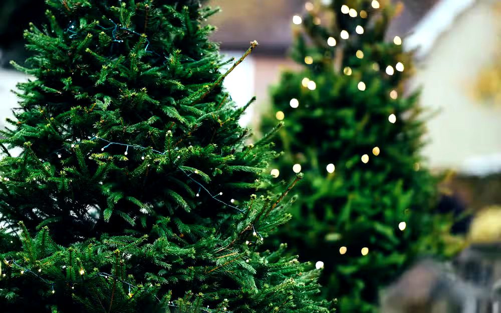 artificial christmas trees with decorative lights