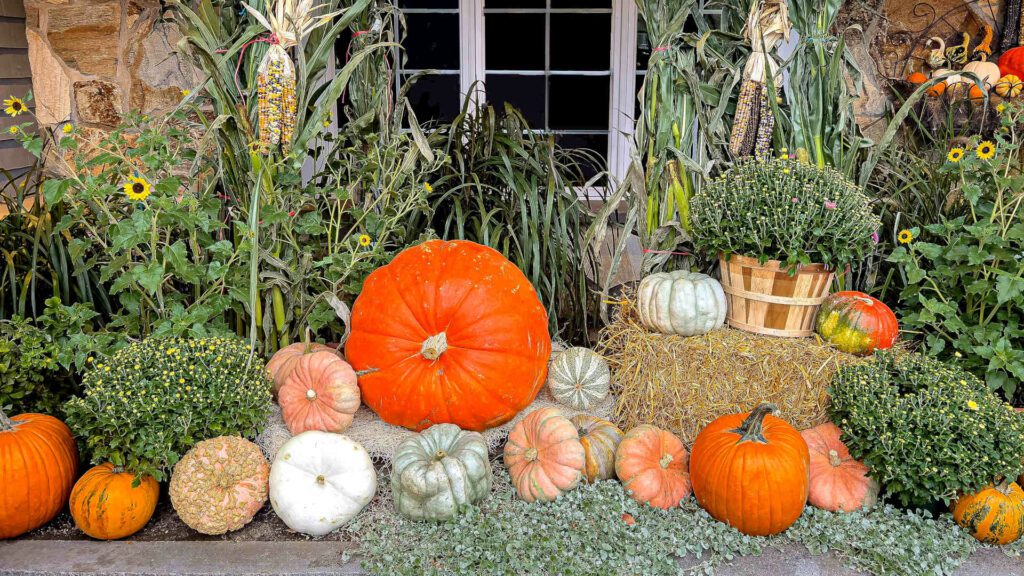 pumpkin and harvest display outside a home 1920 x 1080