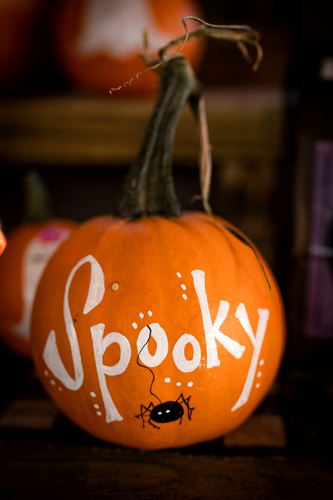 spooky painted pumpkin 1080 x 1620