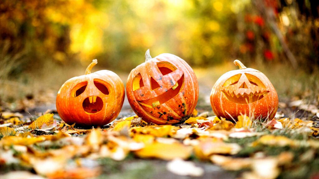 three jack o lanterns on a forest floor 1920 x 1080