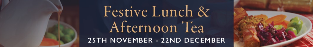 Thin Banner Festive Lunch