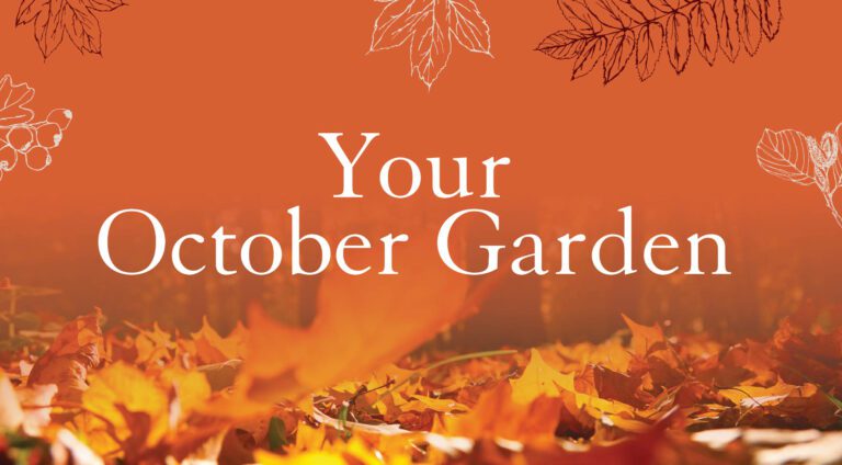 Your October Garden Banner