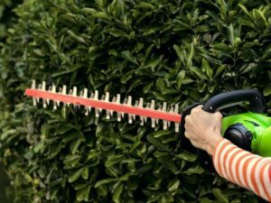 Hedge Trimmer Category Image