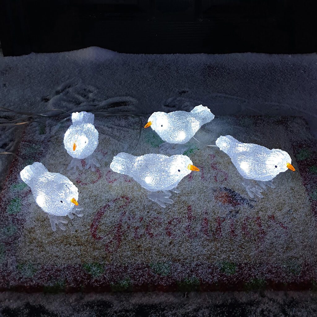 Acrylic Light Up Christmas Birds with 30 White LEDs 5053844224205